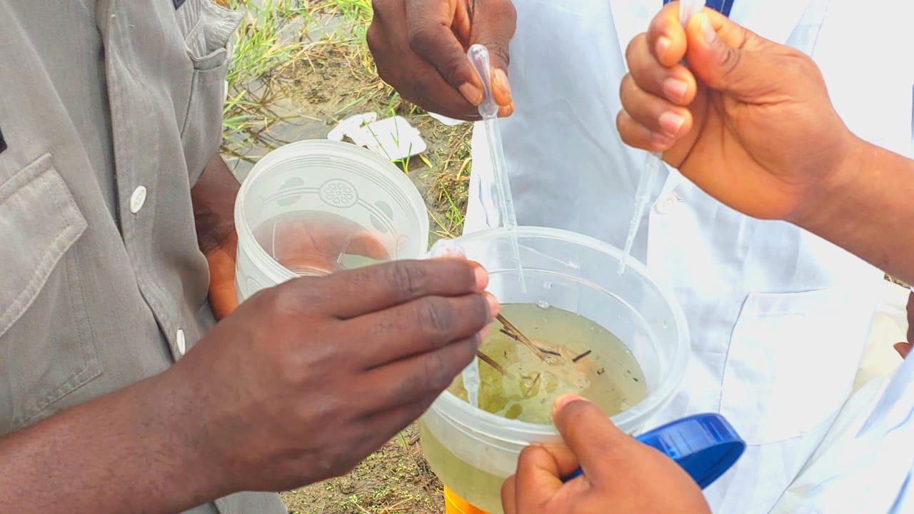 Combatting Malaria: A Visit to Wassa IDP Camp, Abuja for Larvae Collection and Community Impact