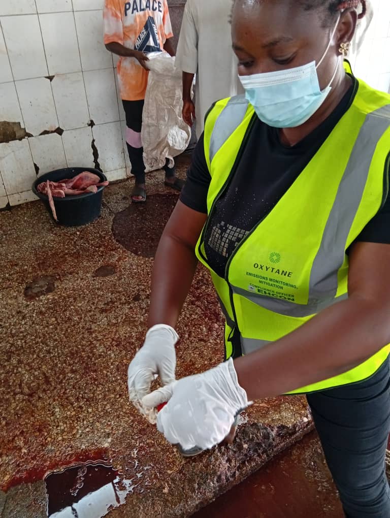 Collection of blood samples from abattoirs in Abuja, Nigeria for laboratory analysis and research purposes. 